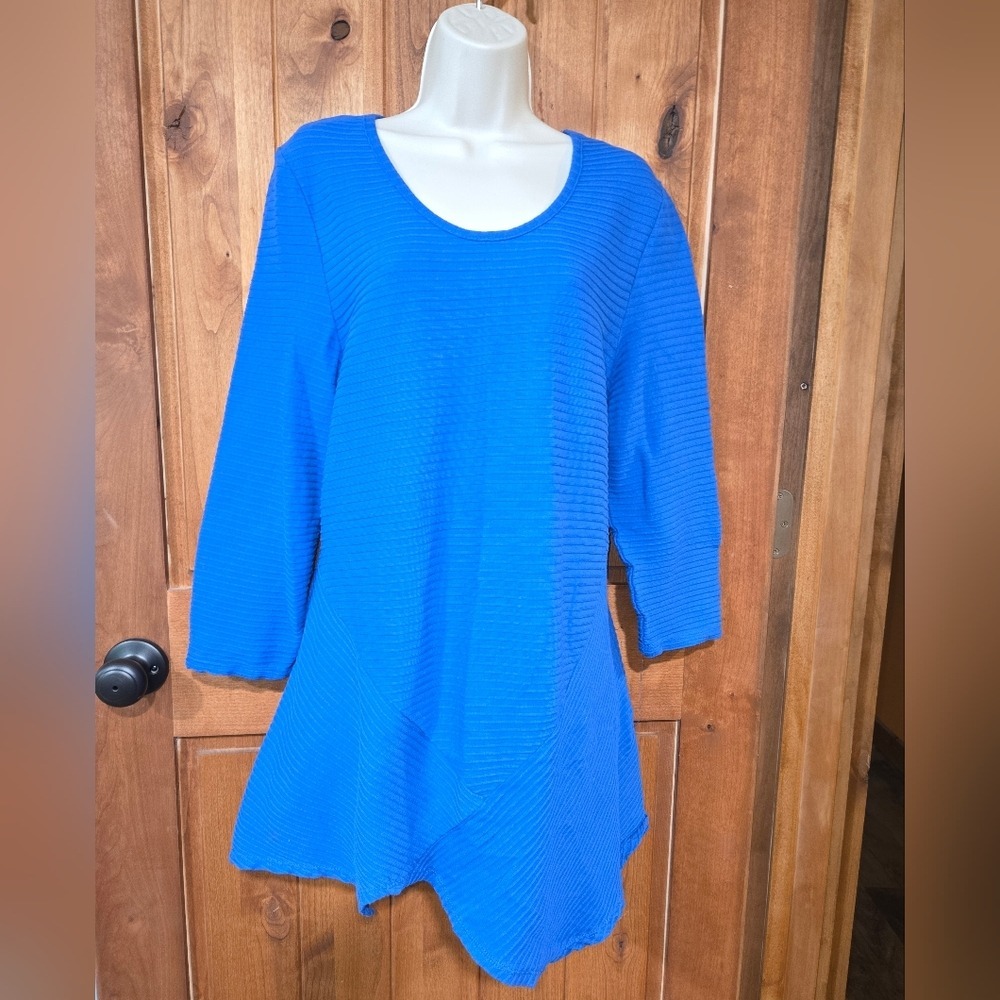 Onque Casuals Vibrant Blue Tunic/Dress